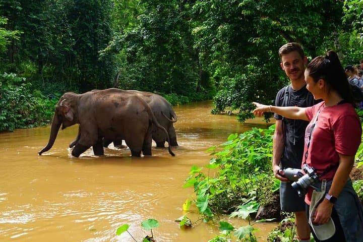 Kindred Spirit Elephant Sanctuary: 2-Day Ethical Homestay near Chiang Mai photo 2