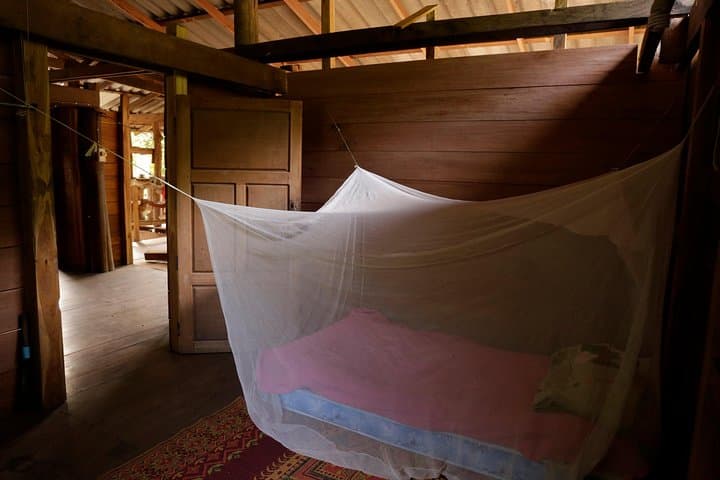 Kindred Spirit Elephant Sanctuary: 2-Day Ethical Homestay near Chiang Mai photo 4