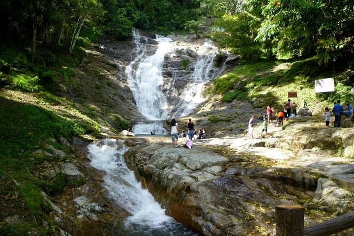 Cameron Highlands Full-Day Tour: Tea Plantations, Waterfalls & Strawberry Farms photo 4