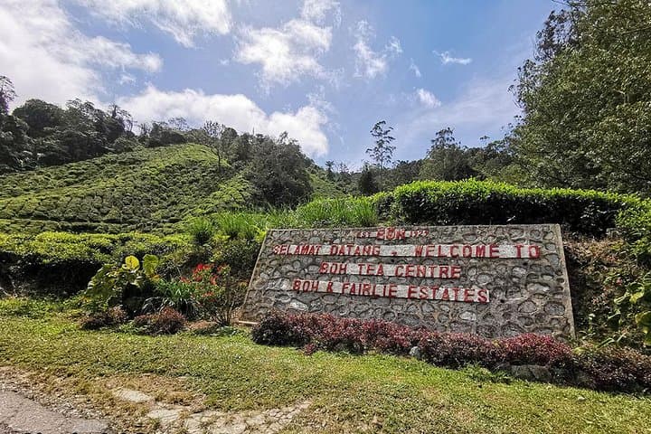Cameron Highlands Full-Day Tea, Waterfall & Strawberry Farm Tour