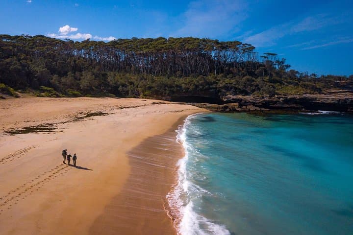Murramarang 3-Day Coastal Walk from Batemans Bay: Beaches, Rainforest & Wildlife