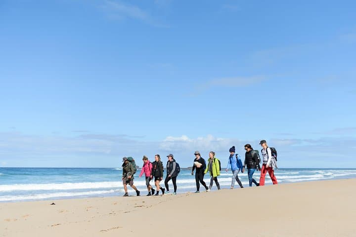 Murramarang 3-Day Coastal Walk from Batemans Bay: Beaches, Rainforest & Wildlife photo 6