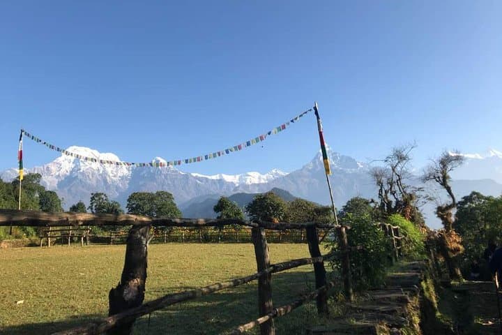 Australian Camp Trek from Pokhara — 2-Day Dhampus Sunrise & Mountain Panorama photo 3