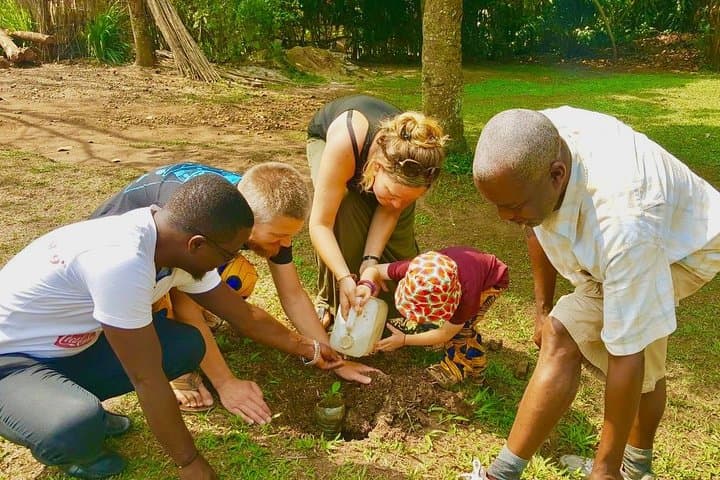 4-Day Queen Elizabeth Safari & Crater Lake Hike from Kampala photo 6