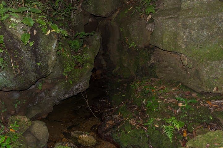 Pannila Cave Caving Tour from Colombo: Explore Ancient Limestone Caverns photo 3