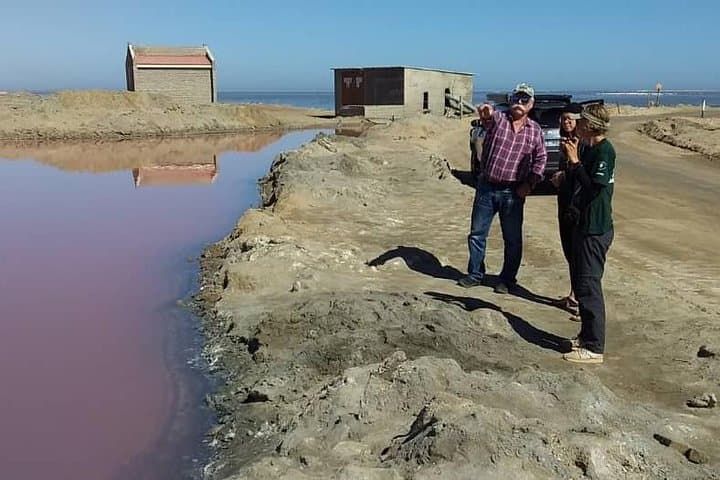 Sandwich Harbour Dune and Seal Drive — Walvis Bay Flamingos & Seal Colony photo 3