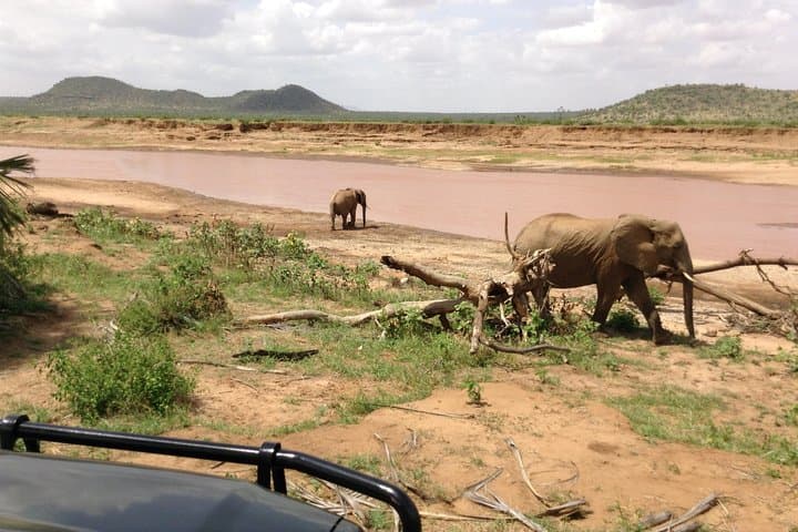 5-Day Safari to Masai Mara, Lake Nakuru & Naivasha — Rift Valley Wildlife Expedition