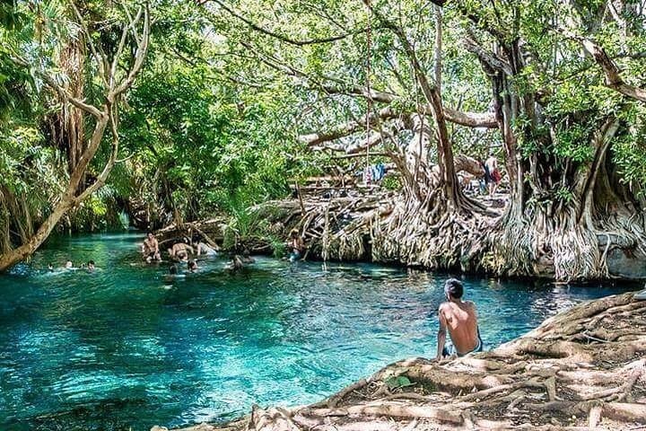 Kikuletwa Hot Springs (Maji Moto) Day Trip — Guide from Moshi