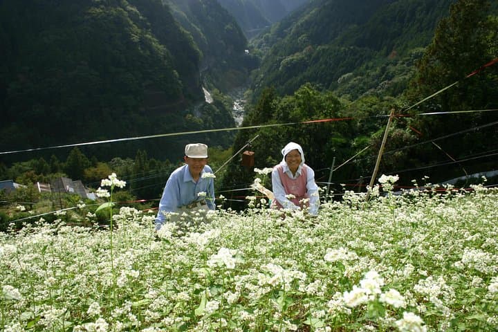 Sadamitsu Brompton Slow Cycling Tour — World Agricultural Heritage Experience photo 2