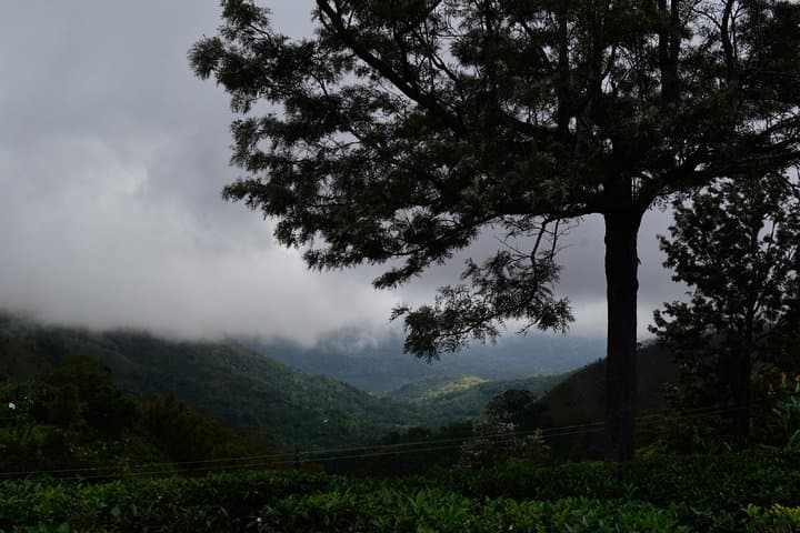 Ella Nature Trekking Tour: Little Adam's Peak, Ella Rock & Ravana Falls photo 3