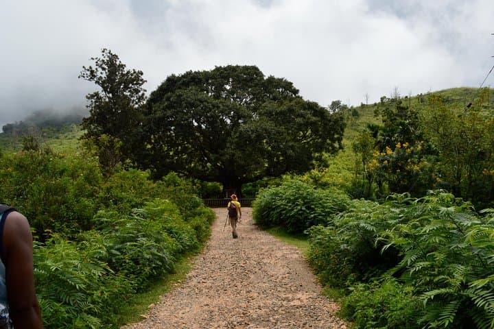 Ella Nature Trekking Tour: Little Adam's Peak, Ella Rock & Ravana Falls photo 2