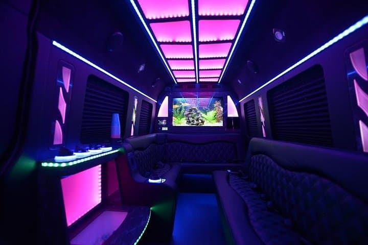 Miami & Fort Lauderdale Party Bus: Luxury Sprinter Limo Private Tour photo 2