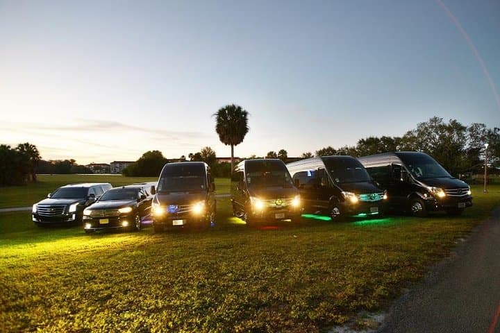 Miami & Fort Lauderdale Party Bus: Luxury Sprinter Limo Private Tour photo 6