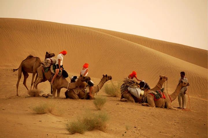 Overnight Camel Safari: Non-Touristic Thar Desert Experience from Jaisalmer