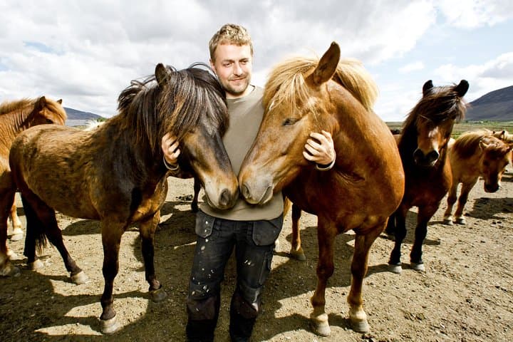 Icelandic Horse Riding Tour from Reykjavik — 3.5-Hour Trek on the Tölt-Ready Horse photo 3