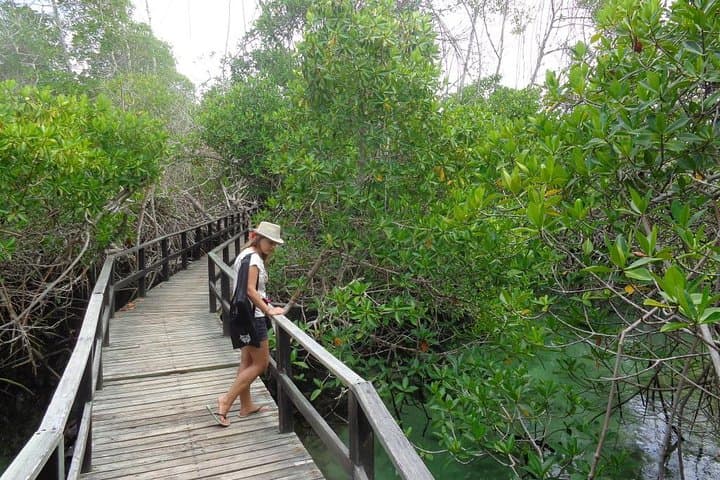 6-Day Galapagos Adventure: Santa Cruz & Isabela Islands photo 3