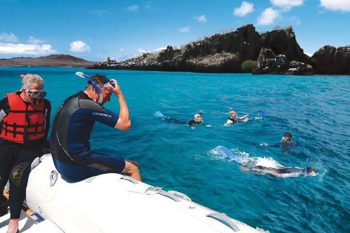 6-Day Galapagos Adventure: Santa Cruz & Isabela Islands photo 4