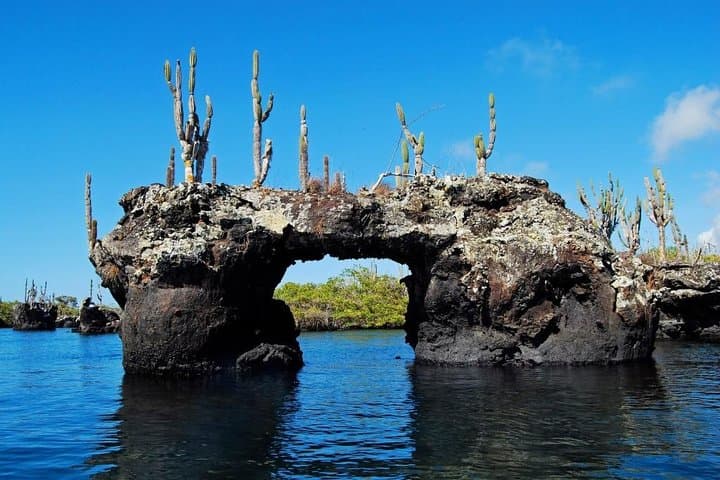 6-Day Galapagos Adventure: Santa Cruz & Isabela Islands photo 5