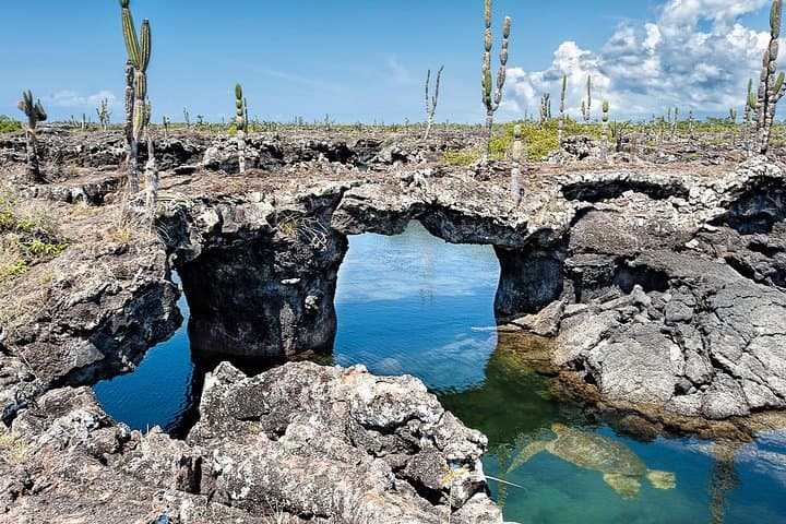 6-Day Galapagos Adventure: Santa Cruz & Isabela Islands photo 6