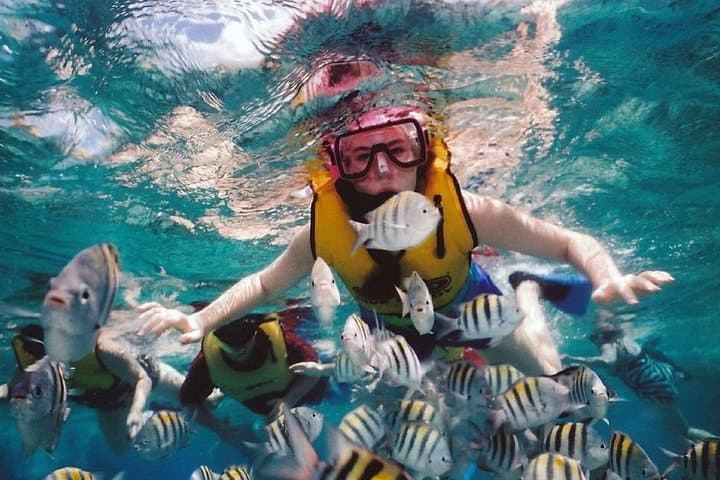 Waitukubuli Volcano Snorkeling: Swim the Champagne Reefs of Dominica photo 4