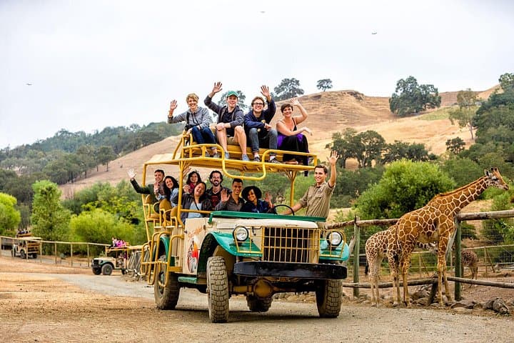 Safari West Sonoma: Jeep Safari & Wildlife Preserve Experience photo 3