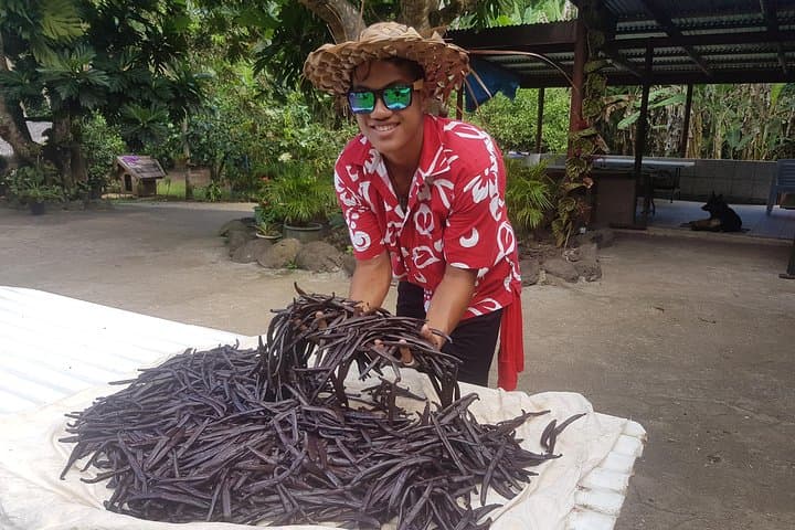Tahaa Lagoon Circuit: Authentic Polynesian Day Trip from Raiatea photo 5