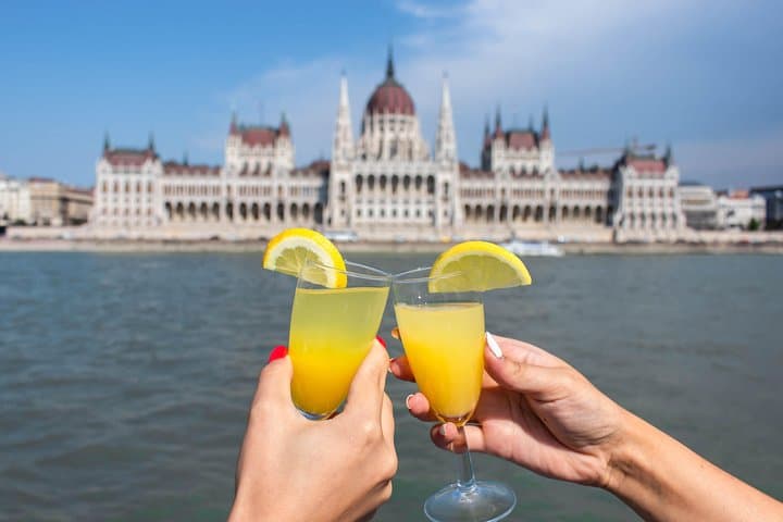Budapest Danube Day Cruise with Welcome Drink and Margaret Island Stop photo 4
