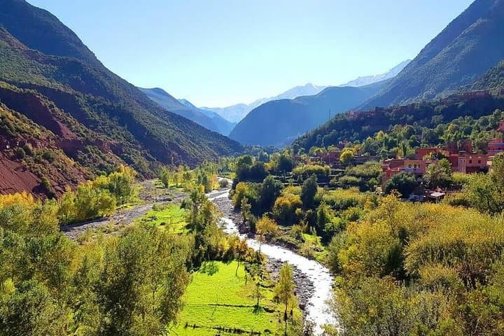 Ourika Valley & Setti-Fatma Waterfalls: Full-Day Berber Village Hike and Argan Cooperative Visit photo 4