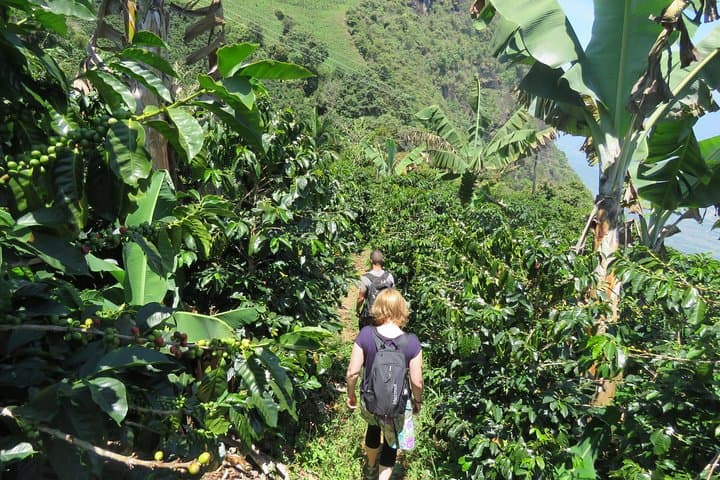La Cascada Arcoiris: Coffee Farm & Rainbow Waterfall Tour in Jericó photo 3