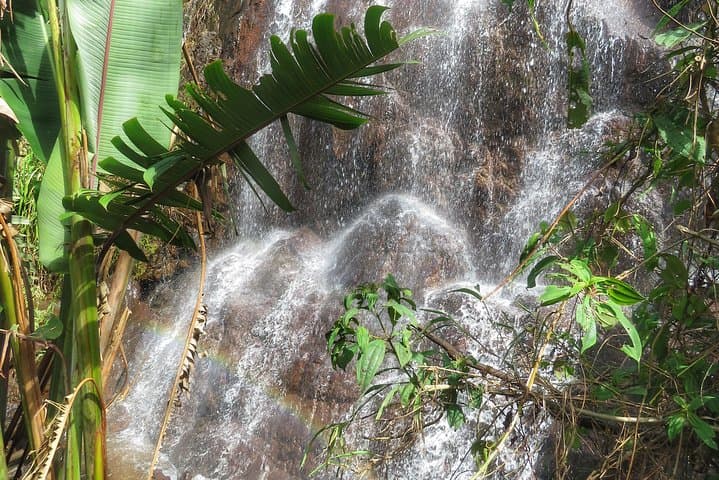 La Cascada Arcoiris: Coffee Farm & Rainbow Waterfall Tour in Jericó photo 5