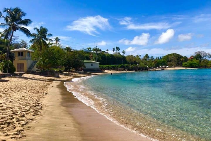 Englishman's Bay Day Trip with Lunch — Beaches of Tobago Snorkel & Swim Excursion photo 2