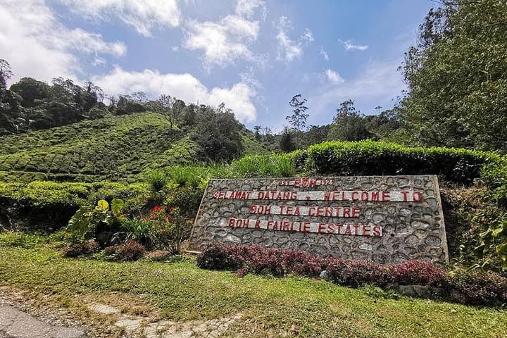 Cameron Highlands Full-Day Tour: Tea Plantations, Waterfalls & Strawberry Farms photo 2