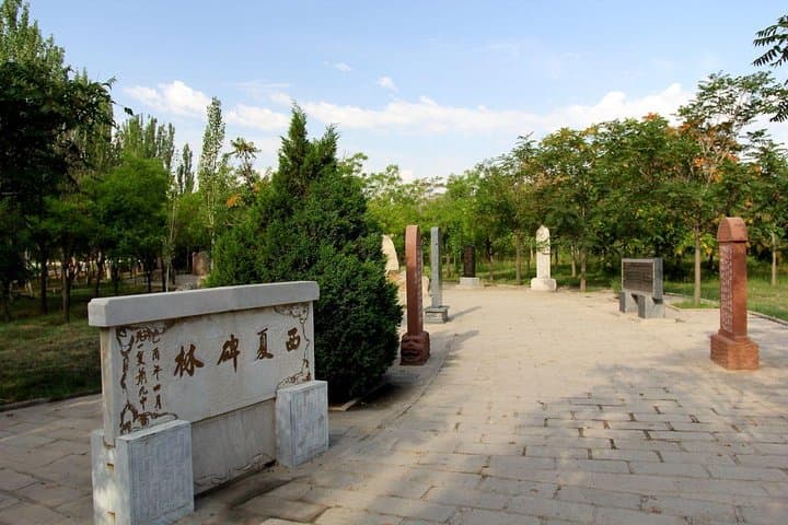 Explore the Western Xia Tombs: Private Day Trip from Yinchuan photo 4