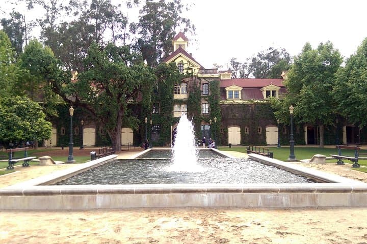 Private 8-Hour Napa & Sonoma Wine Country Tour — Sedan, SUV or Limo photo 3