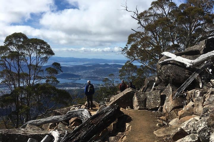 Kunanyi Mt Wellington Explorer Bus — 2.5-Hour Return Tour from Hobart photo 5