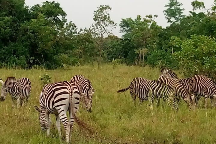 Shai Hills Safari and Aburi Botanical Gardens Day Trip from Accra photo 4