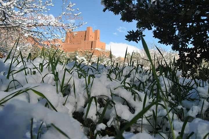 2-Day Atlas Mountains Guided Tour from Marrakech — Ait Bougmez & Ouzoud Waterfalls photo 3
