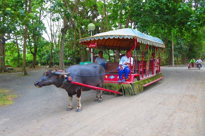 Villa Escudero Coconut Plantation Day Trip from Manila: Waterfall Lunch & Museum photo 2