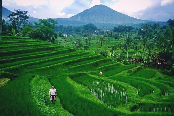 Bali UNESCO World Heritage Day Tour — Taman Ayun, Ulun Danu, Jatiluwih & Tanah Lot photo 2