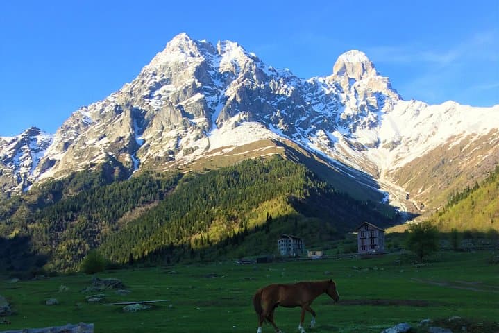 Svaneti 4x4 Safari from Kutaisi: Ushguli, Mestia & Shkhara Glacier photo 2