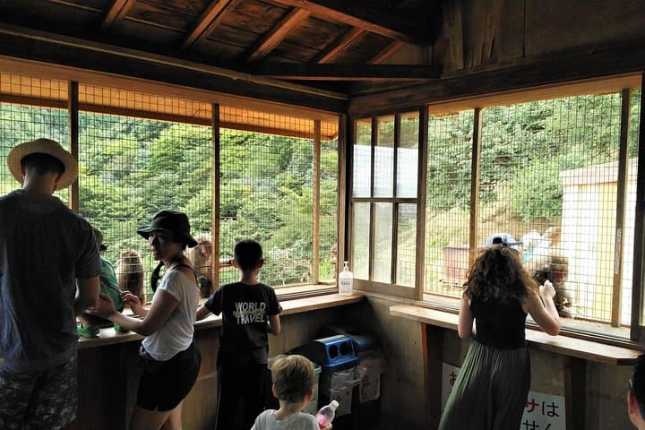 Arashiyama to Golden Pavilion: One-Day Walking Tour in Kyoto photo 3