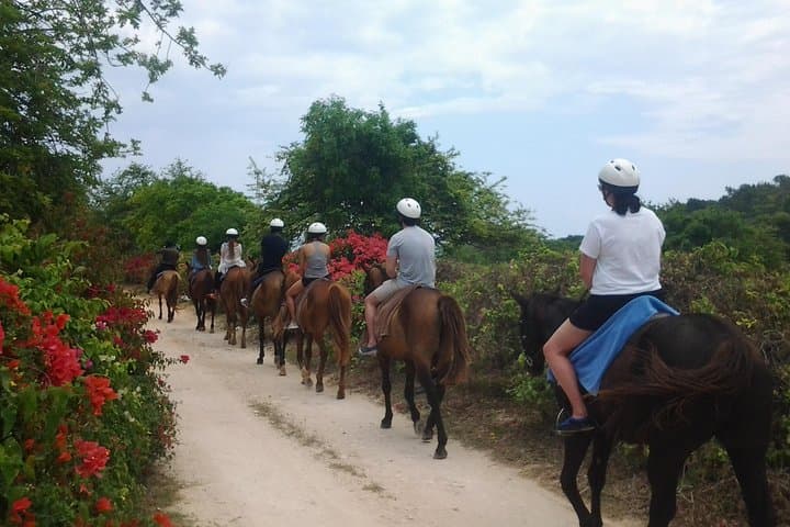 Private Falmouth Van Day Trip to Dunn's River Falls and Tropical Garden photo 4