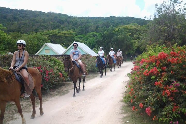 Private Falmouth Van Day Trip to Dunn's River Falls and Tropical Garden photo 5