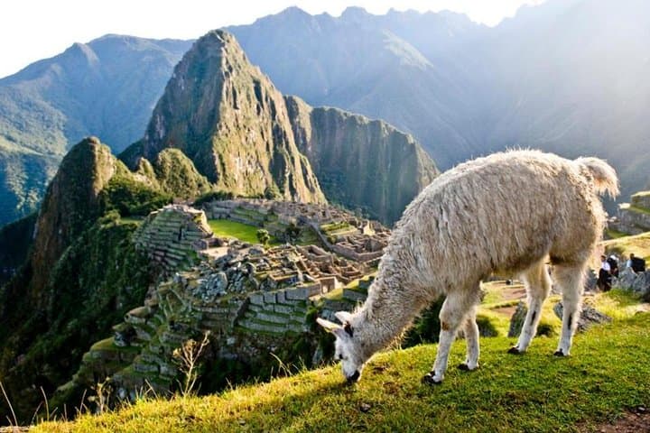 Machu Picchu by Train: 2-Day Guided Trip from Cusco