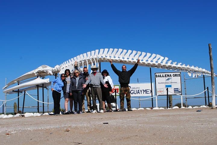 Magdalena Bay Gray Whale Watching: 2-Day Lopez Mateos Expedition photo 6