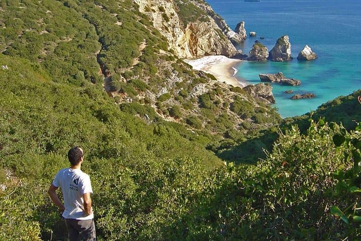Arrábida Day Trip from Lisbon: Wine Tasting & Setúbal Nature Tour photo 3
