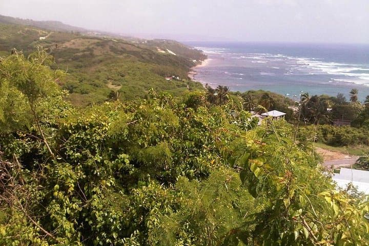 Discover Barbados: Private Island Tour with Harrison's Cave & Coastal Highlights photo 3