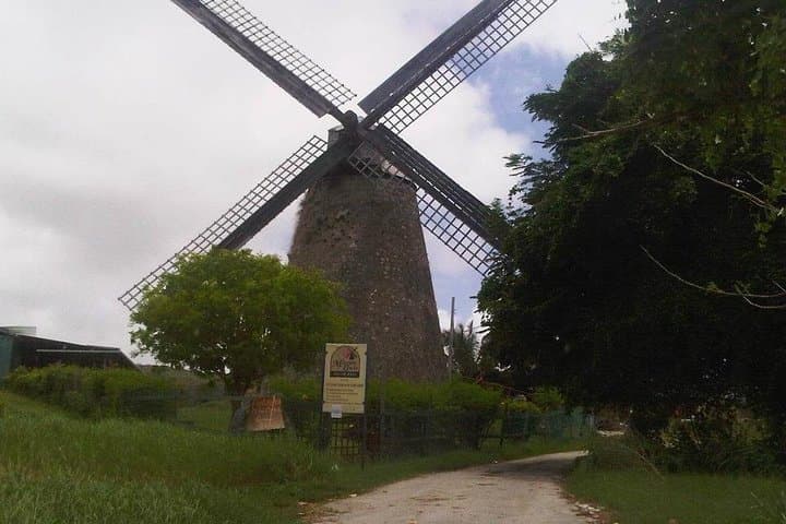 Discover Barbados: Private Island Tour with Harrison's Cave & Coastal Highlights photo 5