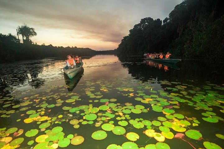 Tambopata 5-Day Amazon Wildlife Expedition from Puerto Maldonado photo 5