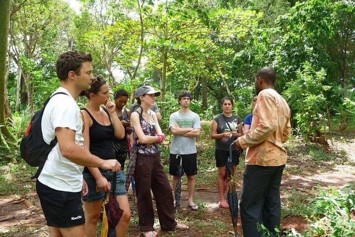 Zanzibar Spice & Stone Town Walking Tour: Spice Gardens, History & Culture photo 1